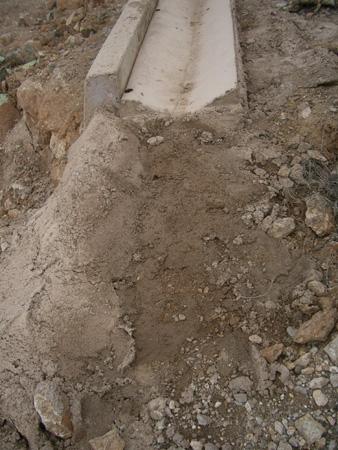 20050306_05